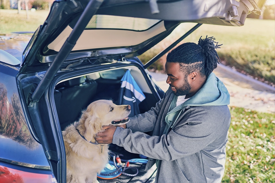 A man pets a golden retriever that sits in the back of a vehicle with the hatchback open